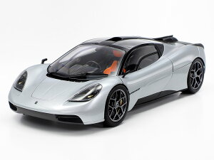 1/24X|[cJ[V[Y 1/24 GMA T.50 y24364z (vf)