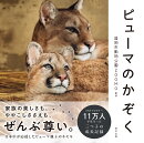 ピューマのかぞく