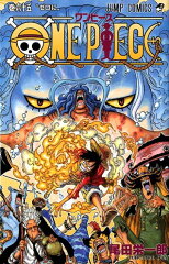 ONE PIECE 65