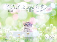 カレンダー2027 こねこと暮らす 保護猫チャリティーカレンダー（月めくり/壁掛け/猫 子猫） （Yama-Kei　…