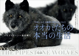 楽天ブックス オオカミと野生のイヌ 菊水健史 本