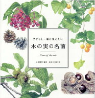 子どもと一緒に覚えたい　木の実の名前