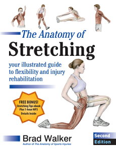 The Anatomy of Stretching, Second Edition: Your Illustrated Guide to Flexibility and Injury Rehabili ANATOMY OF STRETCHING 2ND /E 2 [ Brad Walker ]