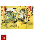戦国秘譚 神々に告ぐ 上下巻セット