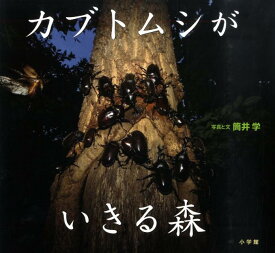 カブトムシがいきる森 （小学館の図鑑NEOの科学絵本） [ 筒井 学 ]
