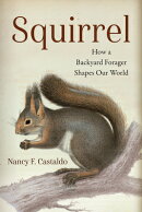 Squirrel: How a Backyard Forager Shapes Our World