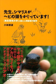 先生、シマリスがヘビの頭をかじっています！ 鳥取環境大学の森の人間動物行動学 [ 小林朋道 ]