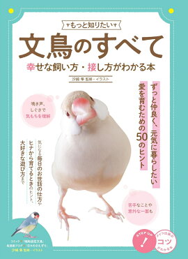 楽天ブックス 幸せな文鳥の育て方 伊藤美代子 本
