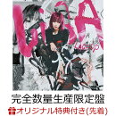 【楽天ブックス限定配送BOX】【楽天ブックス限定先着特典】LACE UP (完全数量生産限定盤 CD＋Blu-ray＋GOODS)(スマホショルダー)