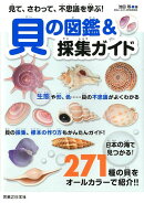 貝の図鑑＆採集ガイド