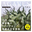 AGAVES アガベ