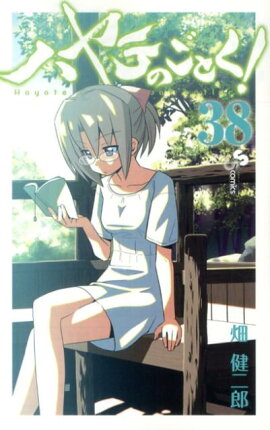 ハヤテのごとく！（38）