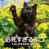 2027　必死すぎるネコカレンダー [ 沖　昌之 ]