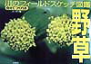 川のフィ-ルドスケッチ図鑑・野草