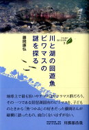 川と湖の回遊魚ビワマスの謎を探る