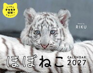 2027　ほぼねこカレンダー [ RIKU ]