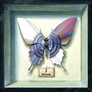 【輸入盤】3