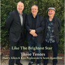 ライク・ザ・ブライテスト・スター【アナログ盤】