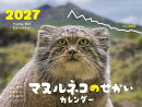 カレンダー2027 ふしぎでかわいいどうぶつカレンダー マヌルネコのせかい（月めくり/壁掛け/動物 猫）