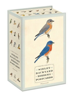 SIBLEY BACKYARD BIRDING POSTCARDS
