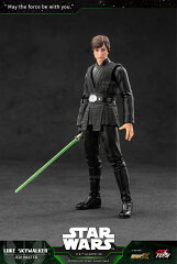 『スター・ウォーズ』 アクションフィギュア ルーク・スカイウォーカー 【00062683987】 (フィギュア)