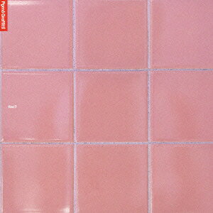 楽天ブックス: foo? - ポルノグラフィティ - 4988009503998 : CD