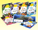 見つけよう 生きものかくれんぼ 【全6巻セット】