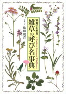 雑草の呼び名事典