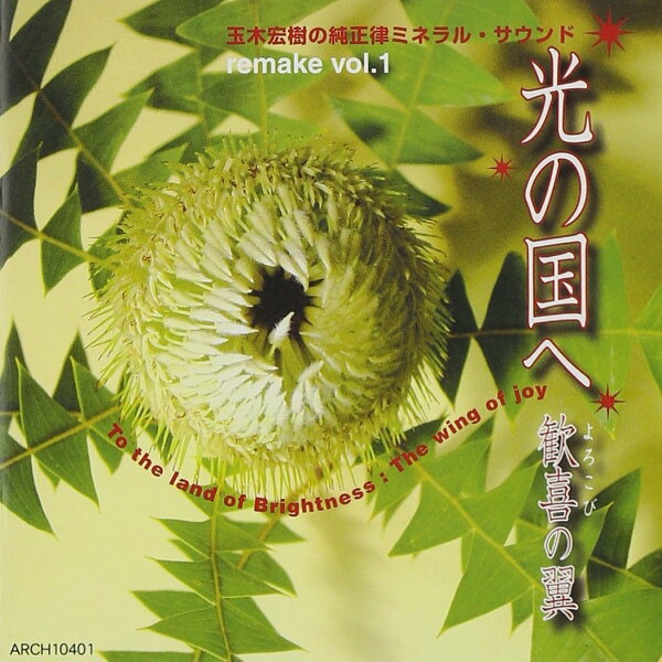 楽天ブックス: 光の国へ VOL．1 歓喜の翼 - 玉木宏樹 - 4562192994018 : CD