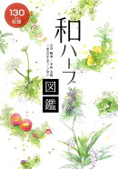 和ハーブ図鑑