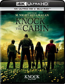 �Υå� ������ˬ��� 4K Ultra HD+�֥롼�쥤��4K ULTRA HD��