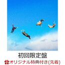 【楽天ブックス限定先着特典+早期予約特典】ヤバすぎるスピード (初回限定盤 CD+Blu-ray)(ヤバすぎる歌詞ステッカ…