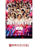 【先着特典】EXILE LIVE TOUR 2025 “WHAT IS EXILE”(クリアファイル(A4サイズ/1種))