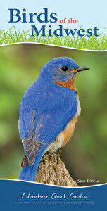 Birds of the Midwest: Identify Backyard Birds with Ease BIRDS OF THE MIDWEST iAdventure Quick Guidesj [ Stan Tekiela ]
