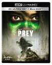 プレデター：ザ・プレイ 4K UHD コレクターズ・エディション【4K ULTRA HD】 [ アンバー・ミッドサンダー ]