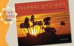 Postcards from Journal of Light