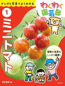 ミニトマト
