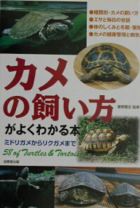 カメの飼い方がよくわかる本 ミドリガメからリクガメまで 霍野晋吉 本 楽天ブックス