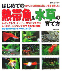 楽天ブックス はじめての熱帯魚 水草の育て方 勝田正志 本