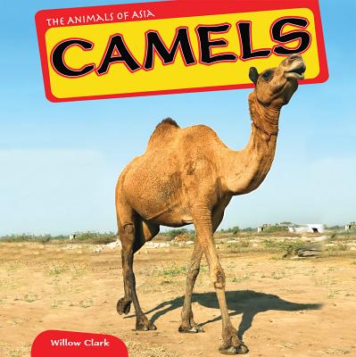 楽天ブックス: Camels - Willow Clark - 9781448874163 : 洋書
