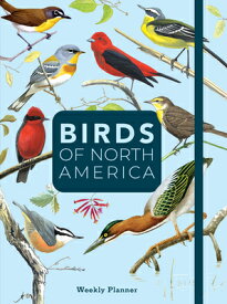 Birds of North America: Undated Weekly and Monthly Planner BIRDS OF NORTH AMER [ Editors of Rock Point ]