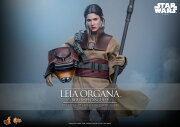 【ムービー・マスターピース】 『スター・ウォーズ エピソード6／ジェダイの帰還』 1/6スケールフィギュア レイア・オーガナ（ブーシ） (可動式フィギュア)