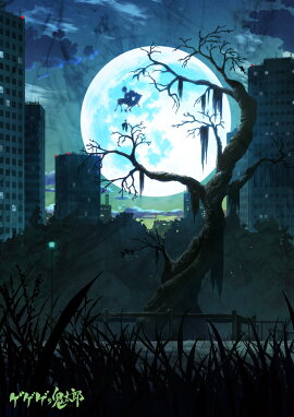 �������ε���Ϻ(��6��) DVD BOX8