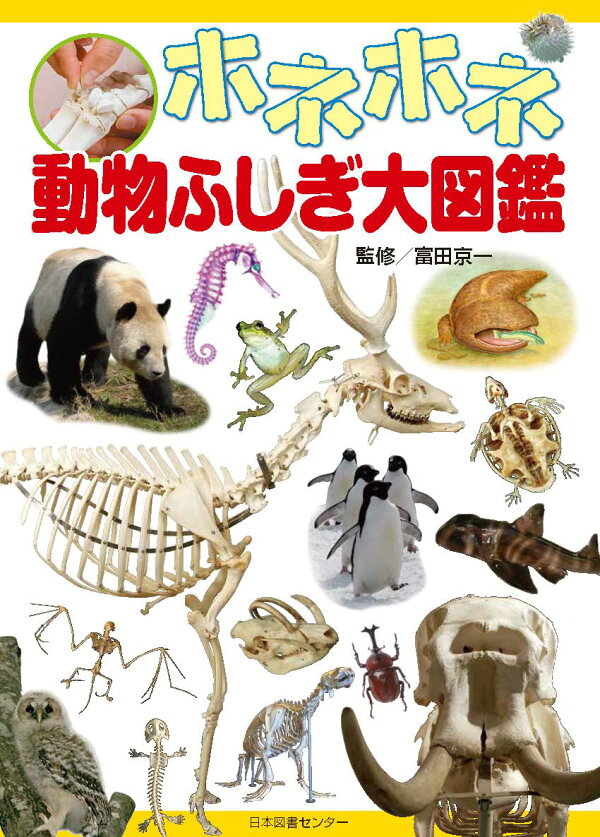 楽天ブックス: ホネホネ動物ふしぎ大図鑑 - 富田京一 - 9784284204217 : 本 