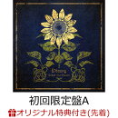 【楽天ブックス限定先着特典】Diary (初回限定盤A CD＋DVD)(マルチケース)