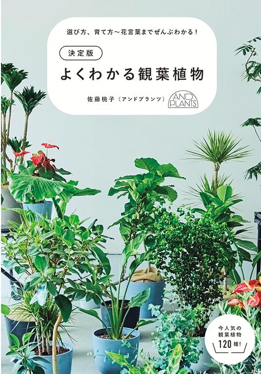 楽天ブックス: 決定版 よくわかる観葉植物 - 佐藤桃子 - 9784528024236 