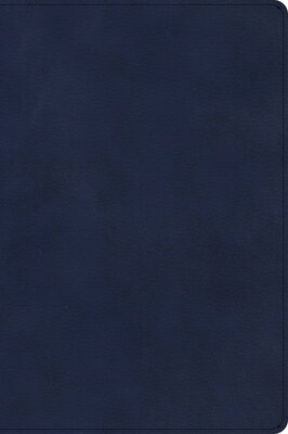 CSB Rainbow Study Bible Gray Leathertouch
