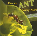 Can an Ant Carry Me?