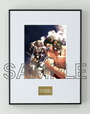 【楽天ブックス限定グッズ】進撃の巨人　イラストパネル　第19巻表紙イラスト
