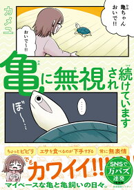 亀に無視され続けています [ カメユ ]